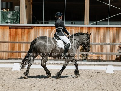 © Niki Buchegger, turnier-fotos.at