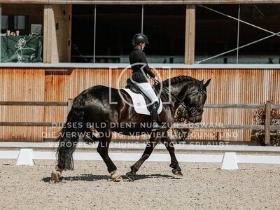© Niki Buchegger, turnier-fotos.at