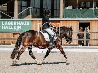 © Niki Buchegger, turnier-fotos.at