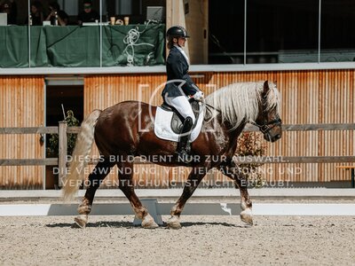 © Niki Buchegger, turnier-fotos.at