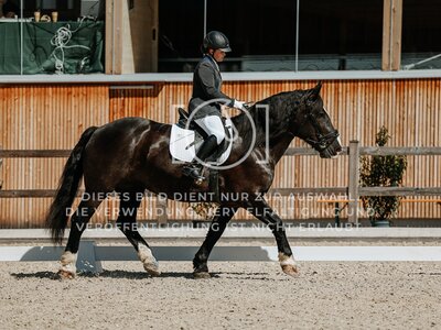 © Niki Buchegger, turnier-fotos.at