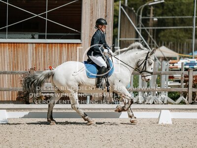 © Niki Buchegger, turnier-fotos.at