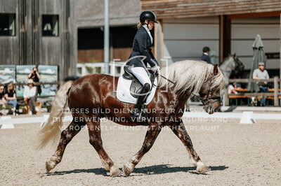 © Niki Buchegger, turnier-fotos.at