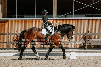 © Niki Buchegger, turnier-fotos.at