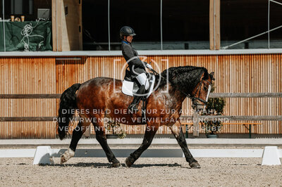 © Niki Buchegger, turnier-fotos.at