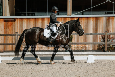 © Niki Buchegger, turnier-fotos.at