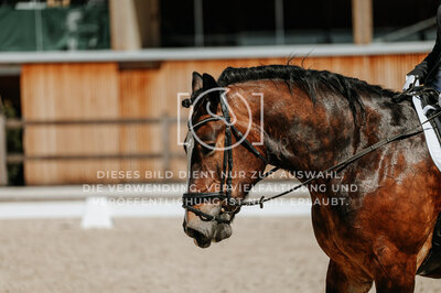 © Niki Buchegger, turnier-fotos.at