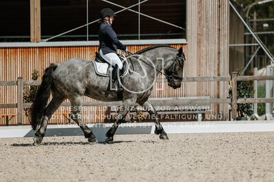 © Niki Buchegger, turnier-fotos.at