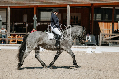 © Niki Buchegger, turnier-fotos.at