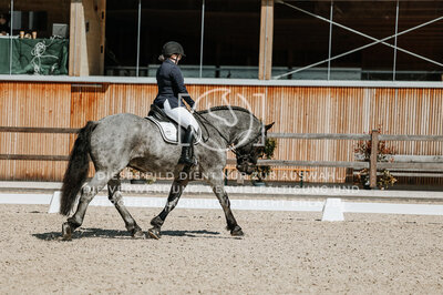 © Niki Buchegger, turnier-fotos.at