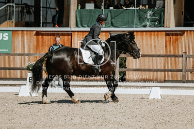 © Niki Buchegger, turnier-fotos.at