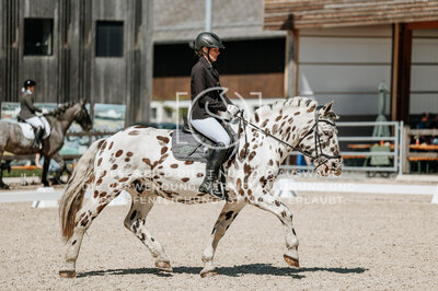 © Niki Buchegger, turnier-fotos.at