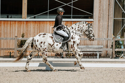 © Niki Buchegger, turnier-fotos.at