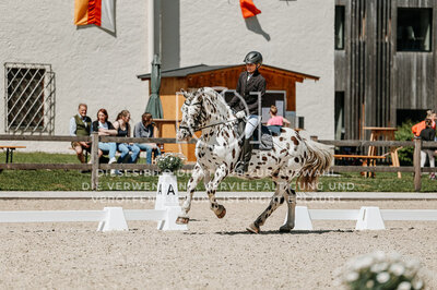 © Niki Buchegger, turnier-fotos.at