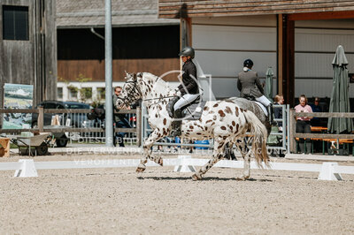 © Niki Buchegger, turnier-fotos.at