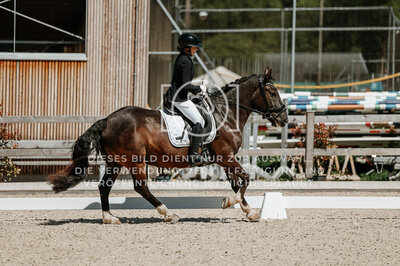 © Niki Buchegger, turnier-fotos.at