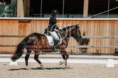 © Niki Buchegger, turnier-fotos.at