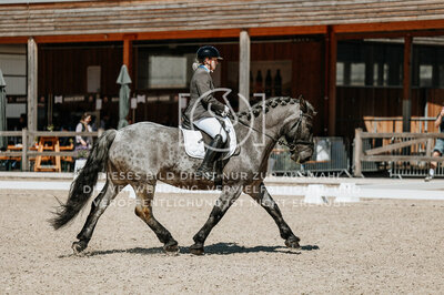 © Niki Buchegger, turnier-fotos.at