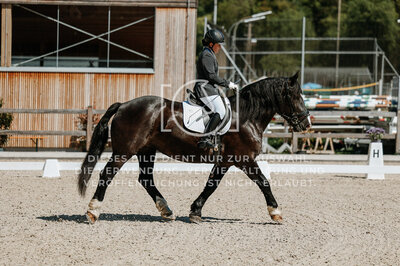 © Niki Buchegger, turnier-fotos.at