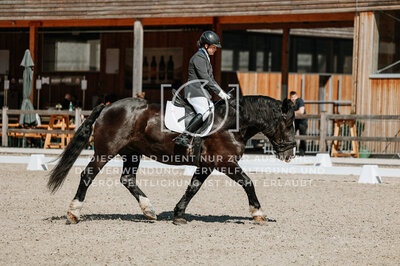 © Niki Buchegger, turnier-fotos.at