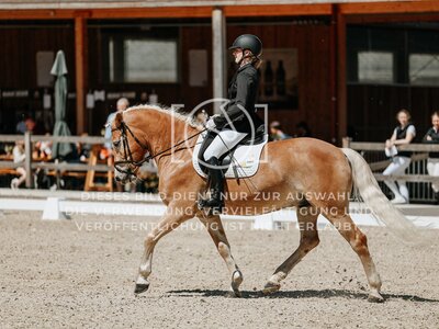 © Niki Buchegger, turnier-fotos.at