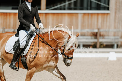 © Niki Buchegger, turnier-fotos.at