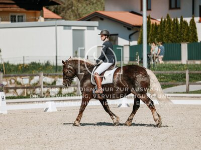© Niki Buchegger, turnier-fotos.at