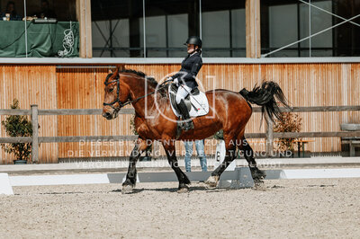 © Niki Buchegger, turnier-fotos.at