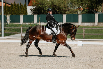 © Niki Buchegger, turnier-fotos.at