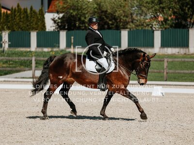 © Niki Buchegger, turnier-fotos.at