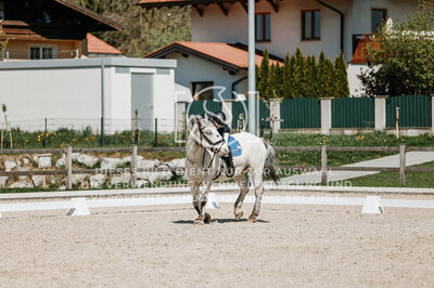 © Niki Buchegger, turnier-fotos.at