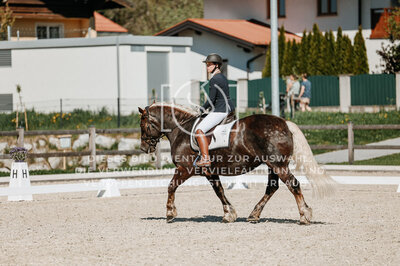 © Niki Buchegger, turnier-fotos.at