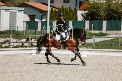 © Niki Buchegger, turnier-fotos.at
