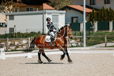 © Niki Buchegger, turnier-fotos.at