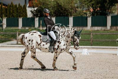 © Niki Buchegger, turnier-fotos.at