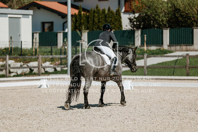© Niki Buchegger, turnier-fotos.at