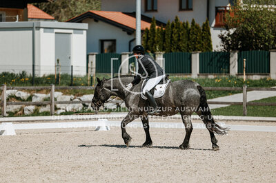 © Niki Buchegger, turnier-fotos.at