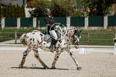 © Niki Buchegger, turnier-fotos.at