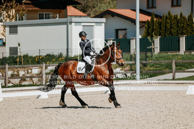 © Niki Buchegger, turnier-fotos.at