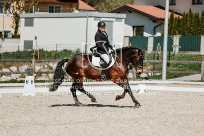 © Niki Buchegger, turnier-fotos.at