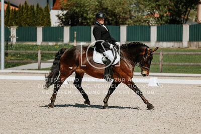 © Niki Buchegger, turnier-fotos.at