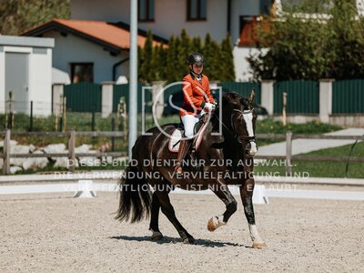 © Niki Buchegger, turnier-fotos.at
