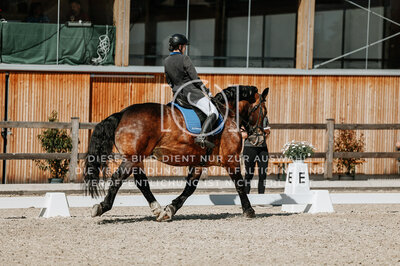 © Niki Buchegger, turnier-fotos.at