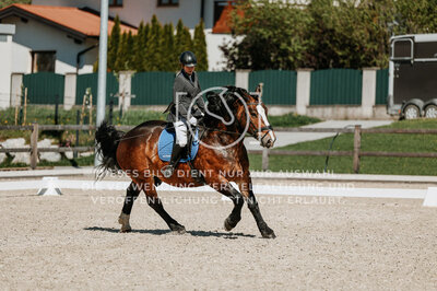 © Niki Buchegger, turnier-fotos.at