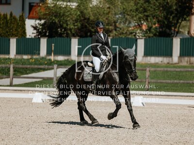 © Niki Buchegger, turnier-fotos.at