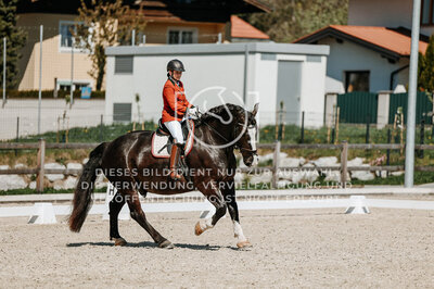 © Niki Buchegger, turnier-fotos.at