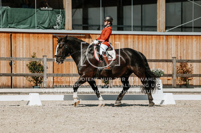 © Niki Buchegger, turnier-fotos.at