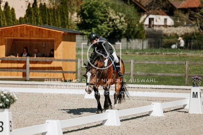 © Niki Buchegger, turnier-fotos.at