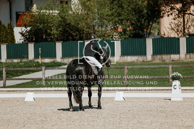 © Niki Buchegger, turnier-fotos.at