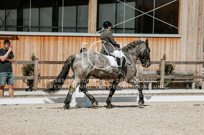© Niki Buchegger, turnier-fotos.at